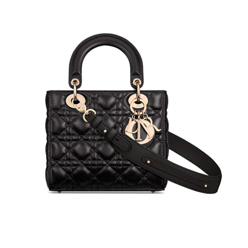 Small Lady Dior My ABCDior Bag